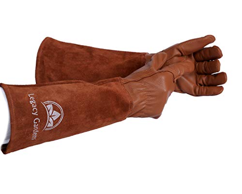 Legacy Gardens Leather Gardening Gloves for Women and Men | Thorn and Cut Proof Garden Work Gloves with Long Heavy Duty Gauntlet | Suitable For Thorny Bushes Cacti Rose Pruning- Medium Brown - Image 3