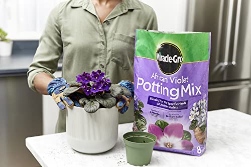 Miracle-Gro African Violet Potting Mix, 8qt., 2-Pack - Image 4