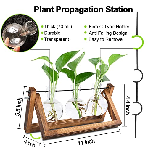 Plant Propagation Stations Terrarium with Wooden Stand, Desktop Air Planter Bulb Glass Vase,for Indoor Hydroponics Water Plants Home Garden Office Decoration Accessories ,Plant Holder Lover Gifts - Image 5