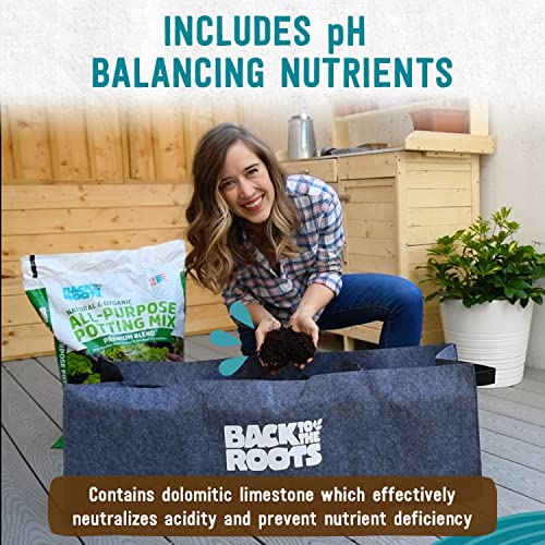 Back to the Roots All-Purpose Potting Mix 6 Quarts (Best Value), 100% Organic & USA Made for Herbs, Veggies, Flowers, w… - Image 6