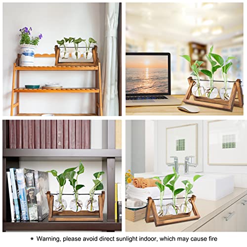 Plant Propagation Stations Terrarium with Wooden Stand, Desktop Air Planter Bulb Glass Vase,for Indoor Hydroponics Water Plants Home Garden Office Decoration Accessories ,Plant Holder Lover Gifts - Image 6
