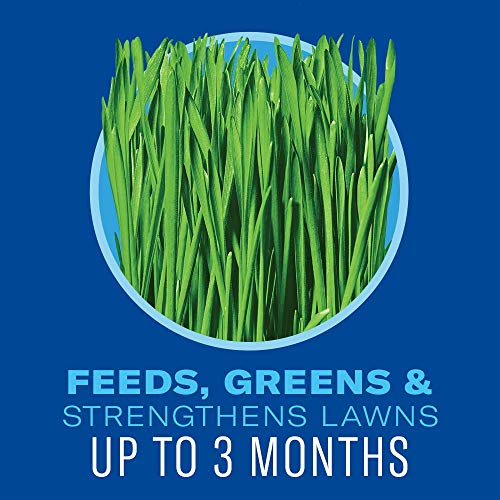 BioAdvanced 5 In 1 Weed and Feed, Granules, 24 lb - Image 5