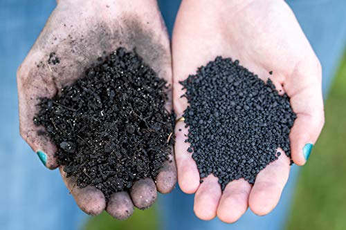 The Andersons BioChar DG Organic Soil Amendment - Covers up to 5,000 sq ft (10 lb) - Image 6