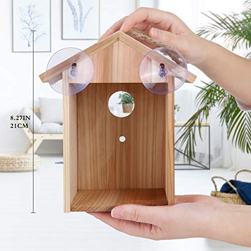 ColorfulLaVie Window Bird House with Strong Suction Cup and Lanyard for Outside - See Through Upgraded Wooden Birdhouse Outdoors,Bird Nest Transparent Design for Easy Observation,Best Gift for Kids - Image 5