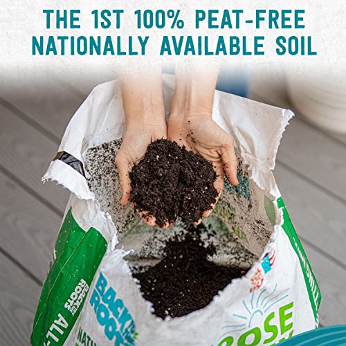 Back to the Roots All-Purpose Potting Mix 6 Quarts (Best Value), 100% Organic & USA Made for Herbs, Veggies, Flowers, w… - Image 4
