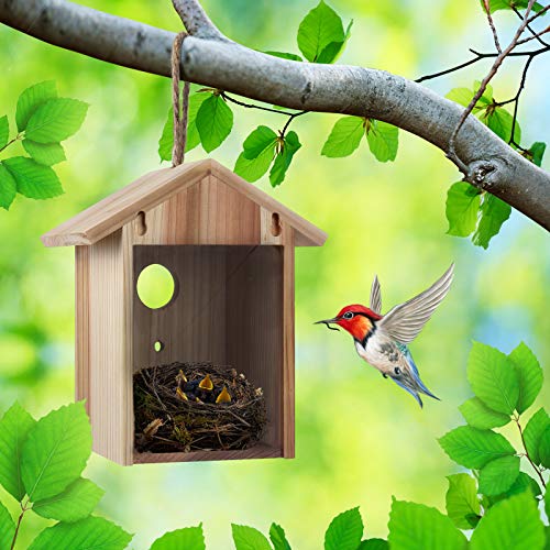 ColorfulLaVie Window Bird House with Strong Suction Cup and Lanyard for Outside - See Through Upgraded Wooden Birdhouse Outdoors,Bird Nest Transparent Design for Easy Observation,Best Gift for Kids - Image 6