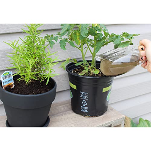 Organic Worm Castings (2 Quarts); All Natural Soil Amendment, Soil Builder, and Fertilizer - Image 6