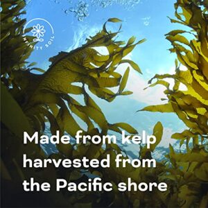 Infinity Soil - Kelp Meal - Sustainable and Natural Soil Amendment - Rich in Nitrogen and Potassium - Encourages Healthy… - Image 5