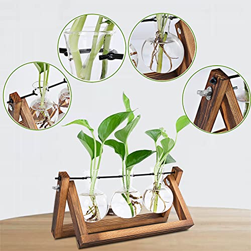 Plant Propagation Stations Terrarium with Wooden Stand, Desktop Air Planter Bulb Glass Vase,for Indoor Hydroponics Water Plants Home Garden Office Decoration Accessories ,Plant Holder Lover Gifts - Image 3