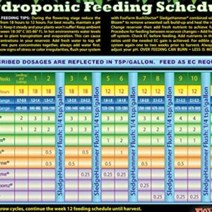 Foxfarm FX14053 Ocean Forest Plant Garden PH Adjusted 12 Quarts Potting Soil Blend Mix for Containerized Plants, 11.9… - Image 6