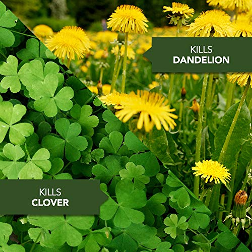 BioAdvanced Season Long Weed Control For Lawns, Concentrate, 29 oz - Image 4